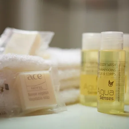 Ace Annemasse Geneve Hotel Ville-la-Grand